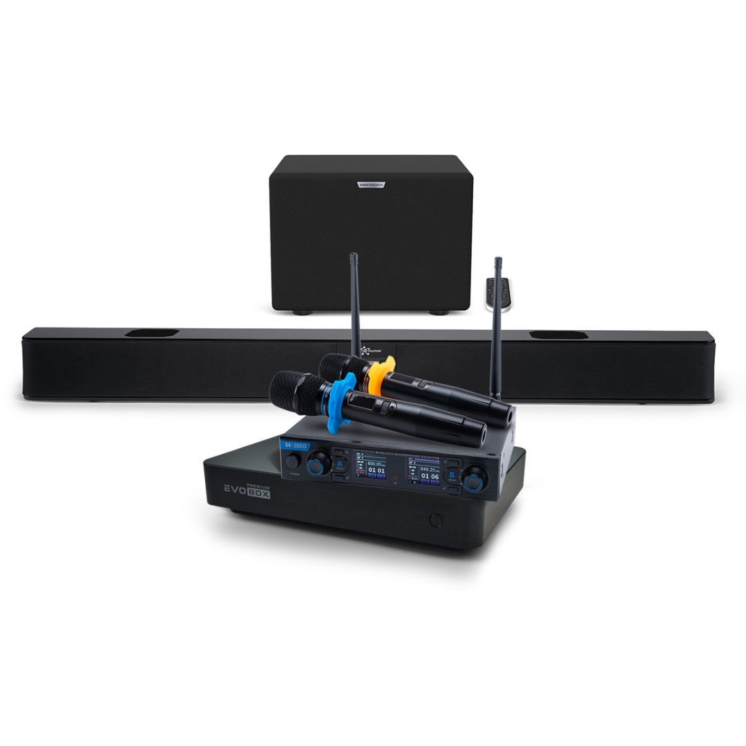 Hi-End караоке-система EVOBOX Premium + EvoSoundBar (саундбар с караоке) в Евпатории