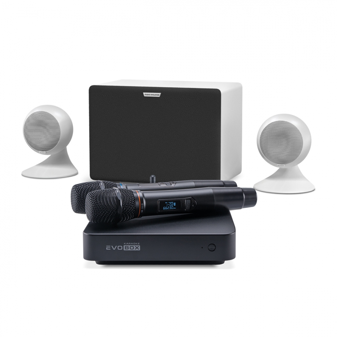 караоке-комплект EVOBOX Classic + EvoSound Sphere 2.1 в Евпатории