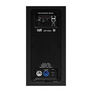 Активная акустическая система AST-310A в Евпатории