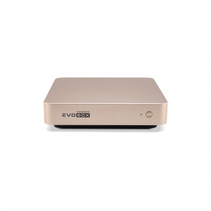 EVOBOX с микрофонами в Евпатории